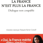 La France n’est plus la France – Livre sur l’identité française