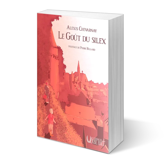 Le goût du silex de Alexis “Des Paluches et des Bouquins”