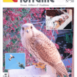 La Nouvelle Revue Lorraine, numéro 50