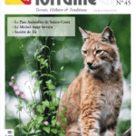 La Nouvelle Revue Lorraine, numéro 45